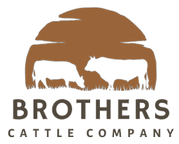 BCC Logo