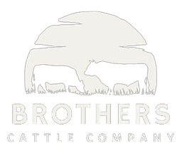 BCC Logo